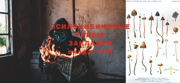 хмурый Дмитриев