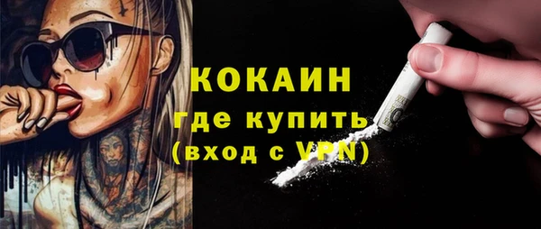 хмурый Дмитриев