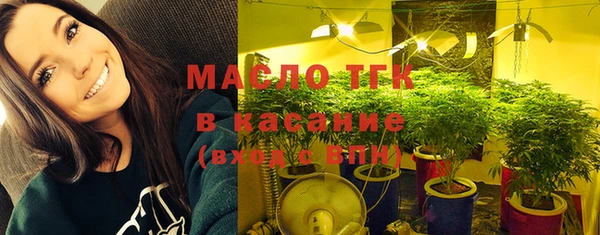 ГАЛЛЮЦИНОГЕННЫЕ ГРИБЫ Ельня