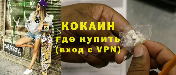 ГАЛЛЮЦИНОГЕННЫЕ ГРИБЫ Ельня