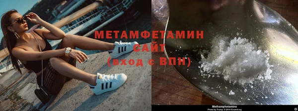 ГАЛЛЮЦИНОГЕННЫЕ ГРИБЫ Ельня