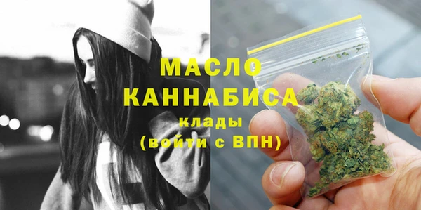 хмурый Дмитриев